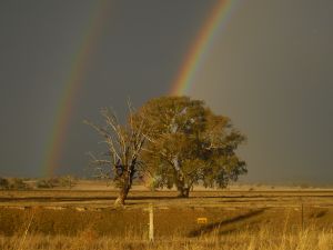 An Australian rainbow
