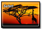 Accessible Safari Tours in Africa