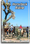 Accessible Horseback Riding Tours