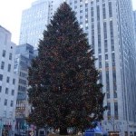 Rockefeller Center Christmas Tree, New York